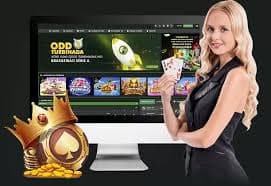 pro8